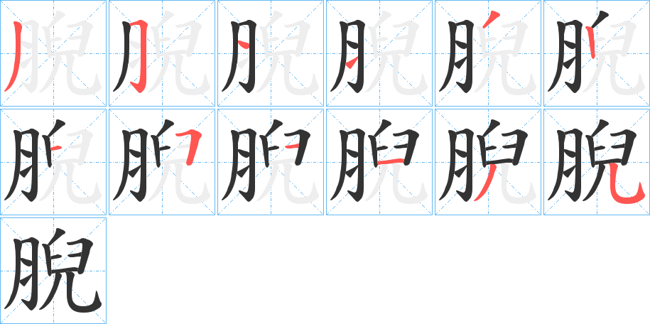 腉字的笔顺笔画分步演示