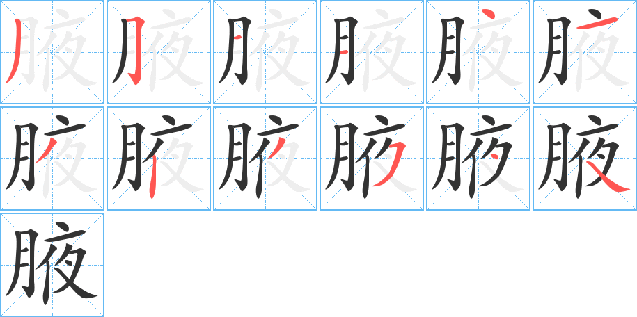 腋字的笔顺笔画分步演示