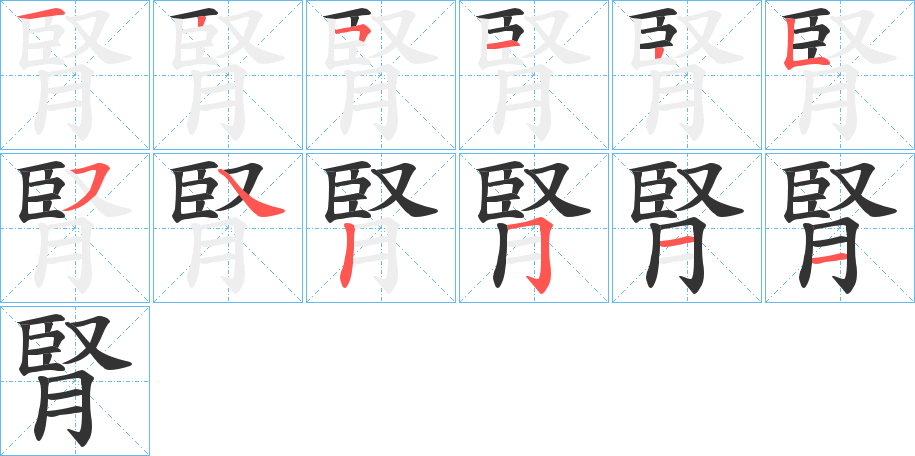 腎字的笔顺笔画分步演示