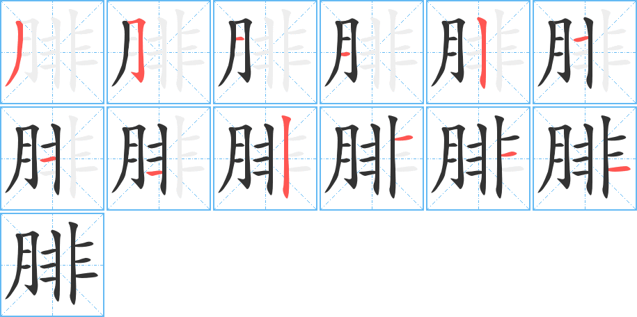 腓字的笔顺笔画分步演示