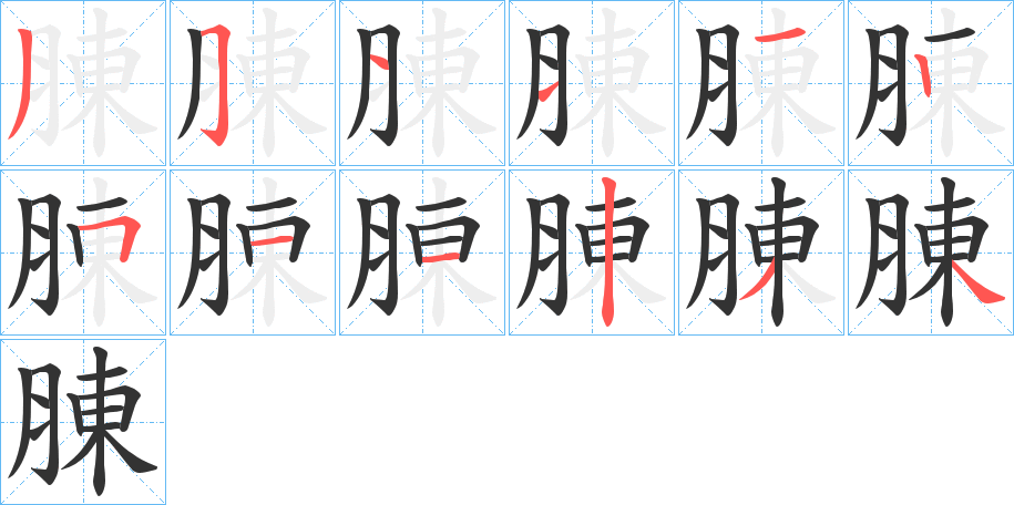 腖字的笔顺笔画分步演示