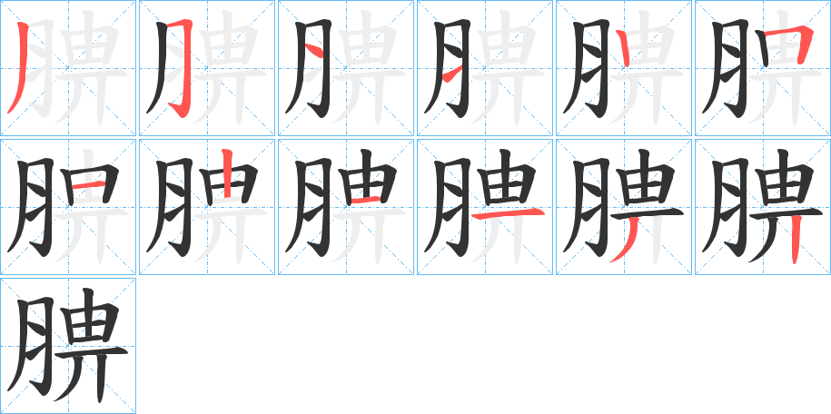 腗字的笔顺笔画分步演示