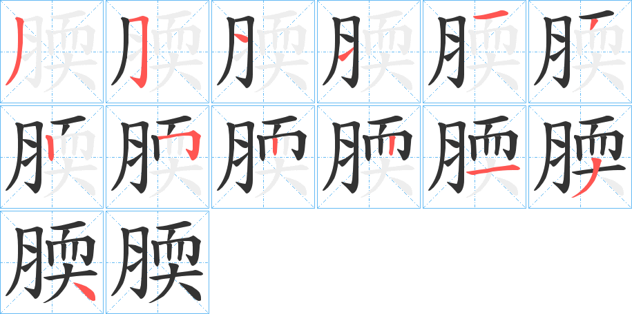 腝字的笔顺笔画分步演示