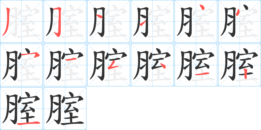腟字的笔顺笔画分步演示