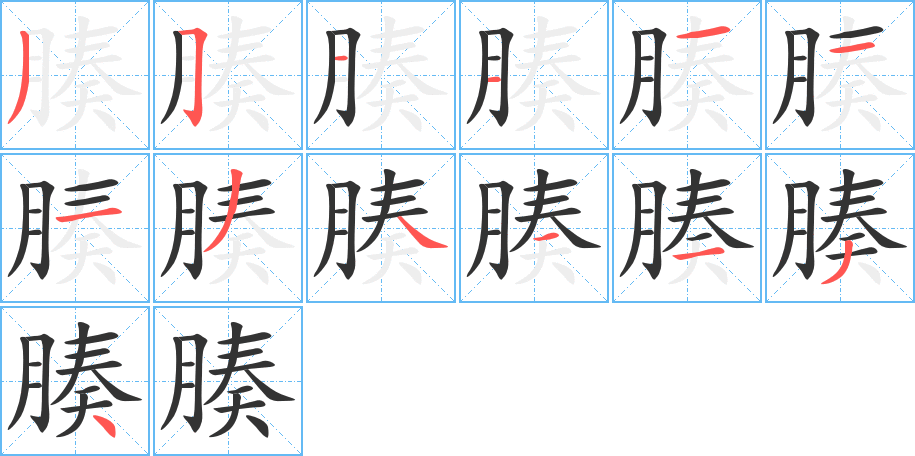 腠字的笔顺笔画分步演示