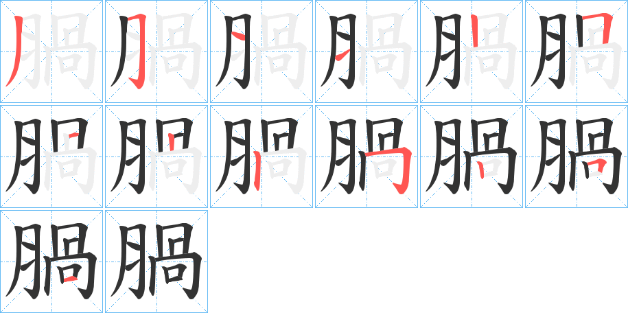 腡字的笔顺笔画分步演示