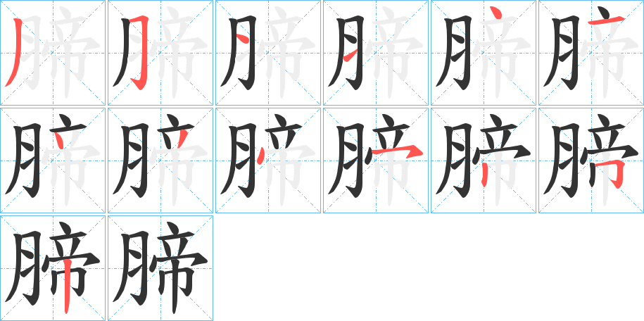 腣字的笔顺笔画分步演示