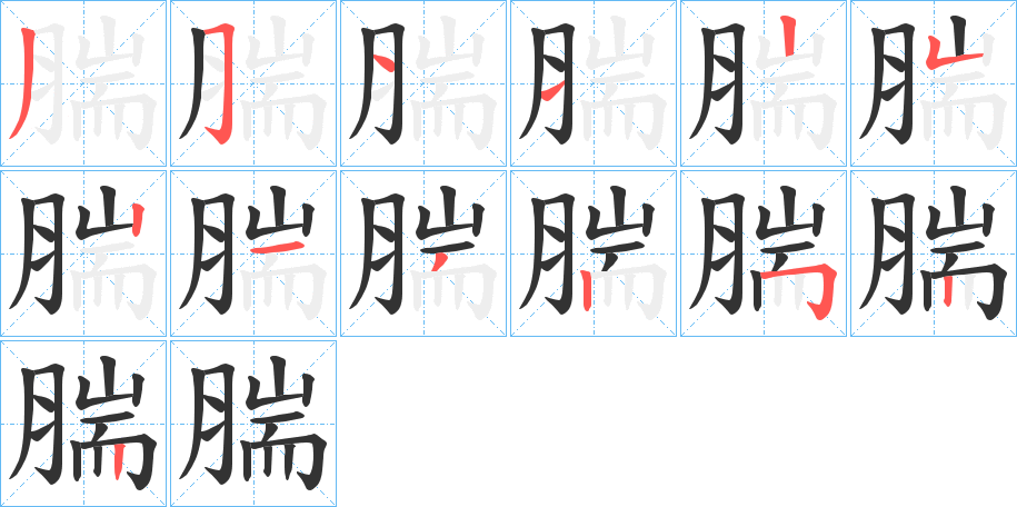 腨字的笔顺笔画分步演示