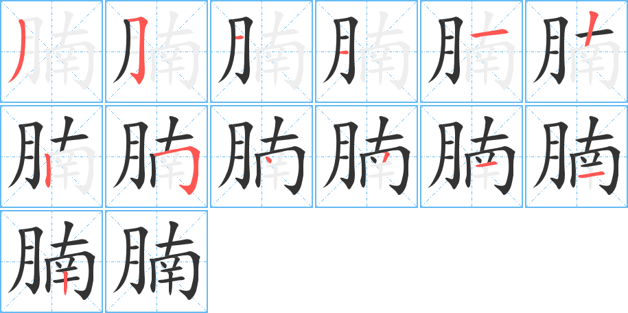 腩字的笔顺笔画分步演示
