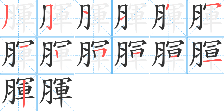 腪字的笔顺笔画分步演示