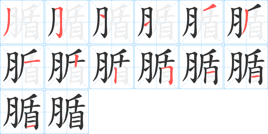 腯字的笔顺笔画分步演示