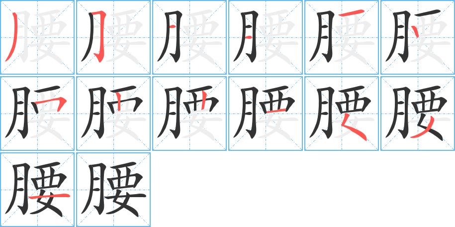 腰字的笔顺笔画分步演示