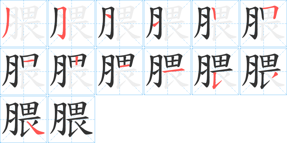 腲字的笔顺笔画分步演示
