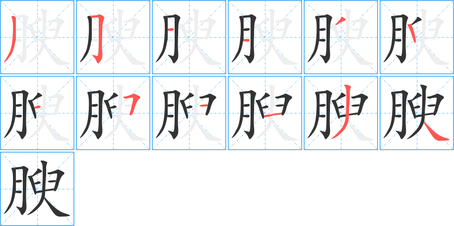 腴字的笔顺笔画分步演示