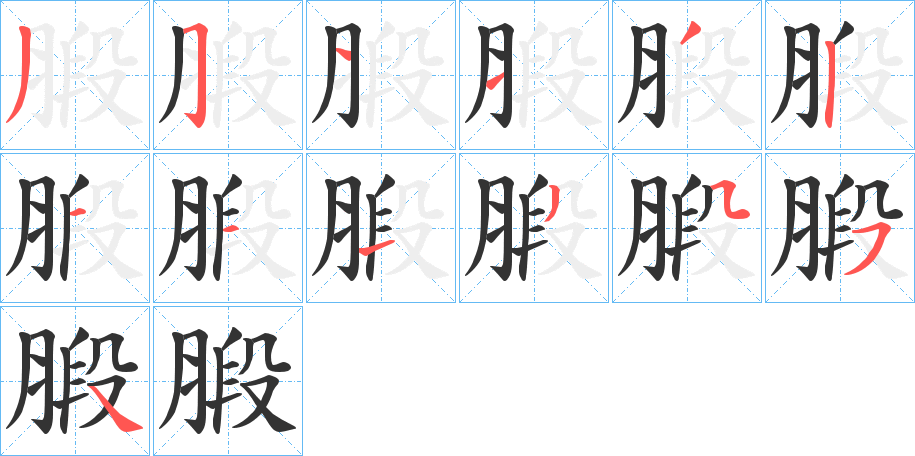 腶字的笔顺笔画分步演示