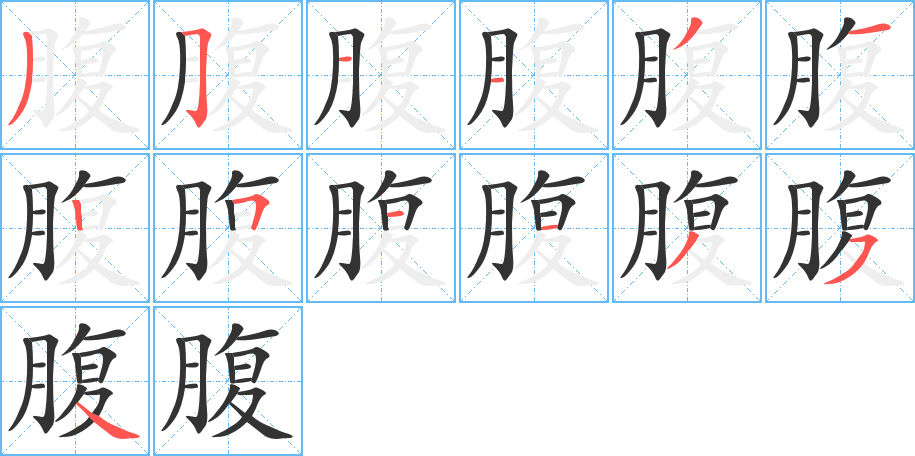 腹字的笔顺笔画分步演示
