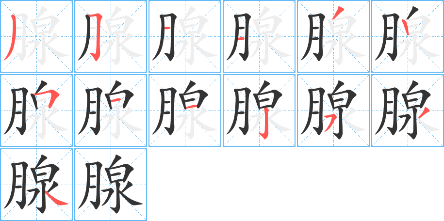 腺字的笔顺笔画分步演示