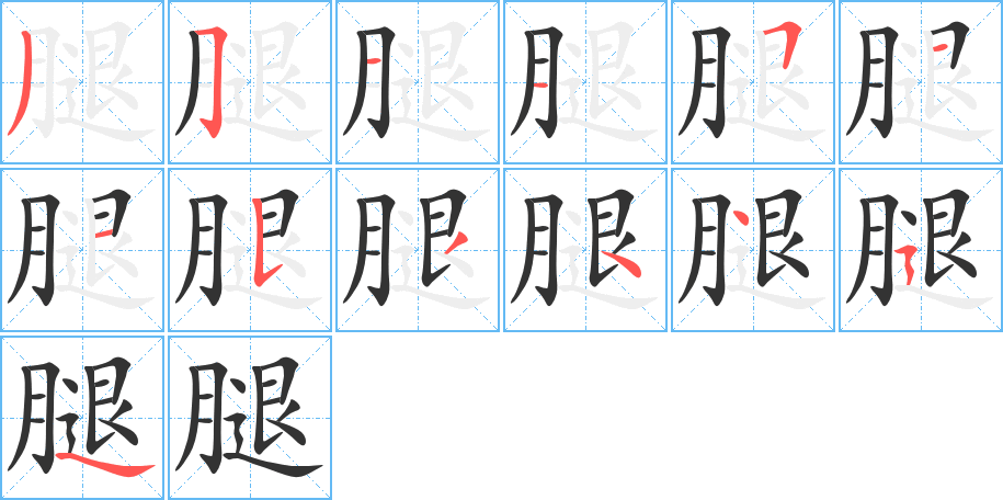 腿字的笔顺笔画分步演示