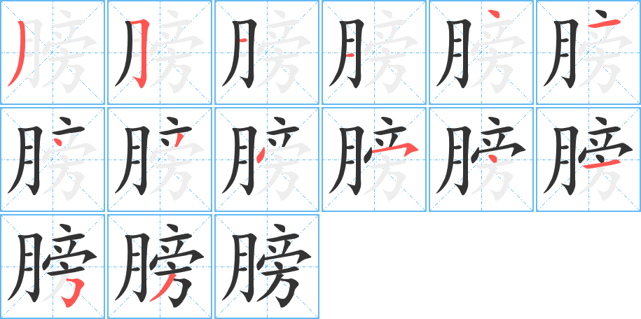 膀字的笔顺笔画分步演示