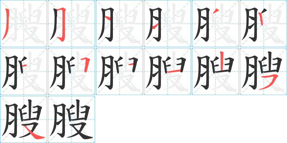 膄字的笔顺笔画分步演示