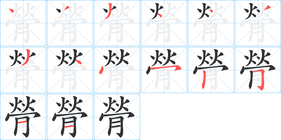 膋字的笔顺笔画分步演示