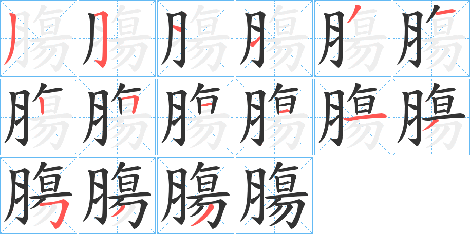 膓字的笔顺笔画分步演示