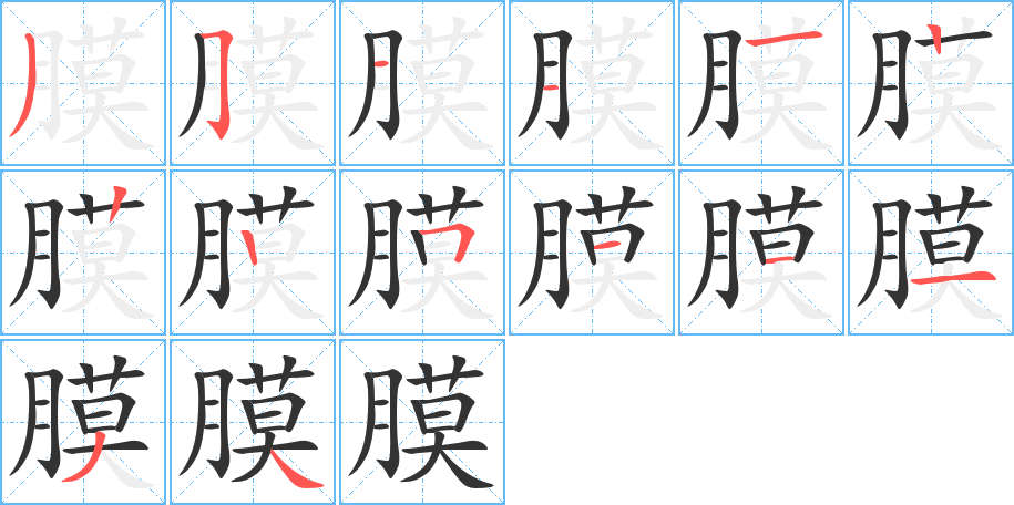膜字的笔顺笔画分步演示