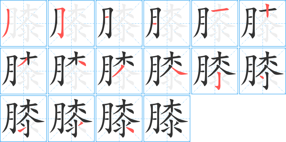 膝字的笔顺笔画分步演示
