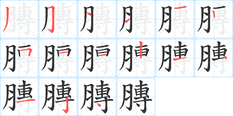 膞字的笔顺笔画分步演示