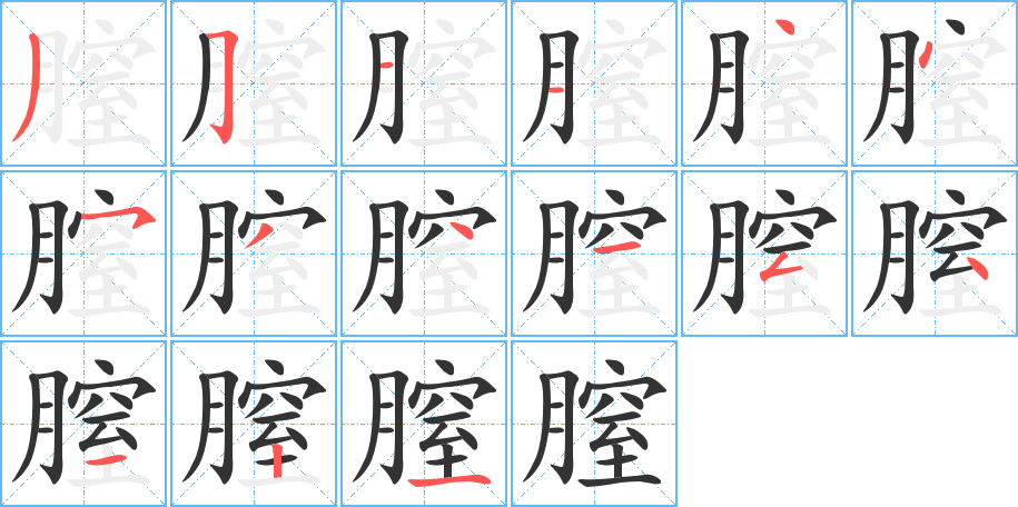 膣字的笔顺笔画分步演示