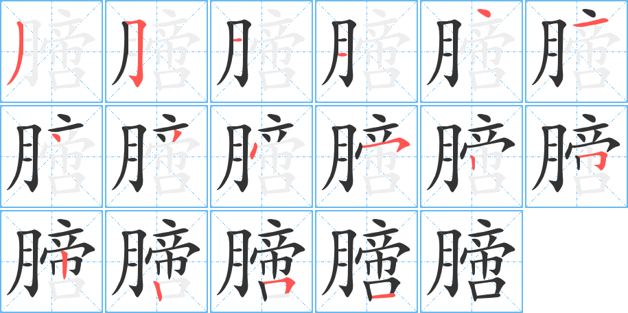 膪字的笔顺笔画分步演示