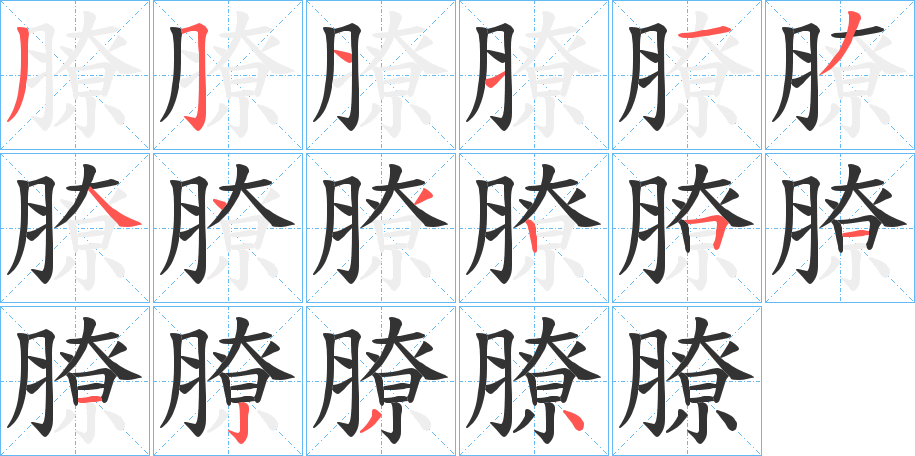 膫字的笔顺笔画分步演示