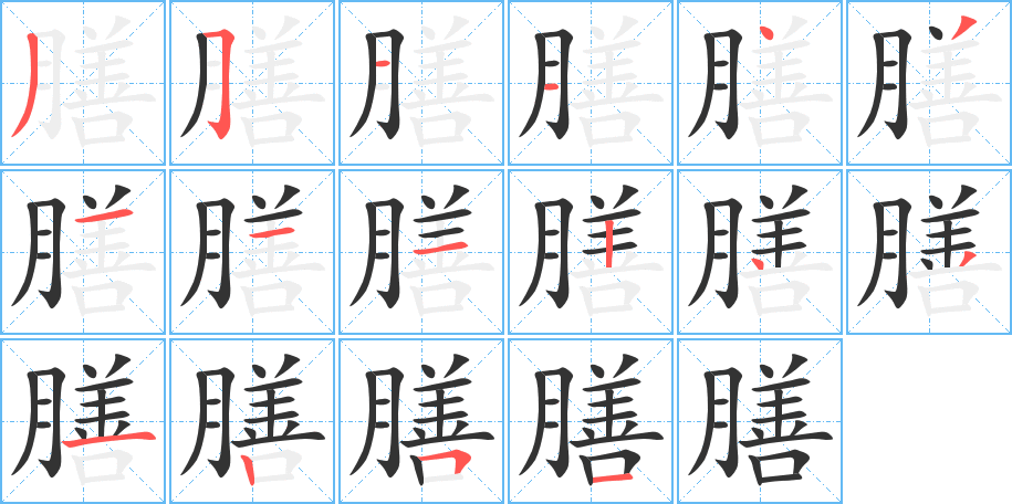 膳字的笔顺笔画分步演示