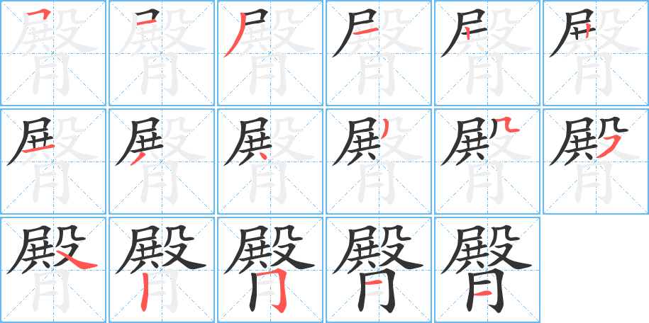 臀字的笔顺笔画分步演示