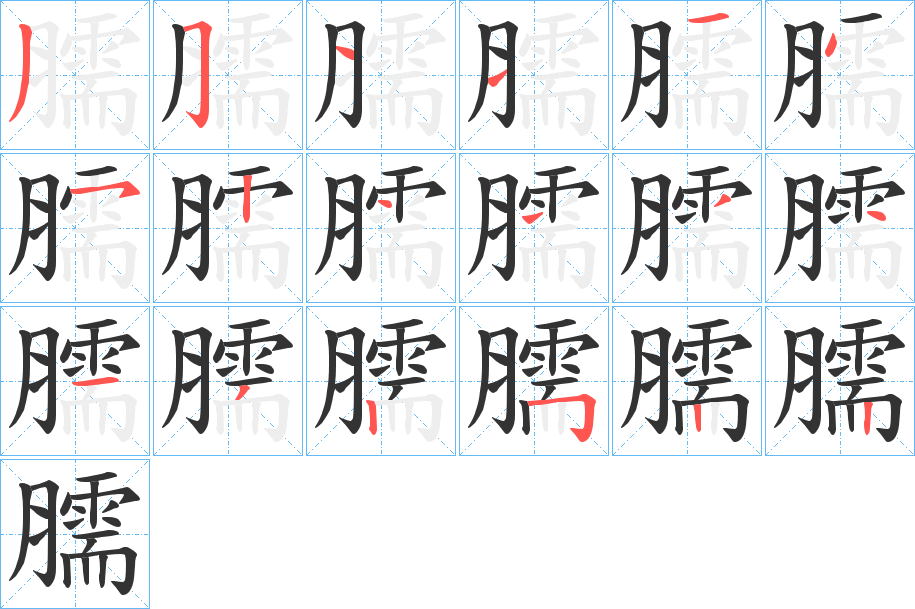 臑字的笔顺笔画分步演示
