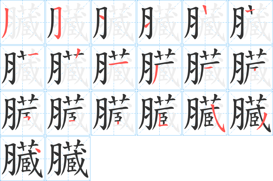 臓字的笔顺笔画分步演示