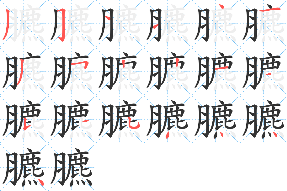 臕字的笔顺笔画分步演示