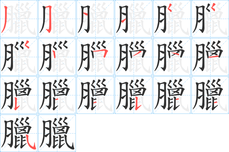 臘字的笔顺笔画分步演示