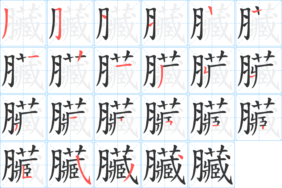 臟字的笔顺笔画分步演示