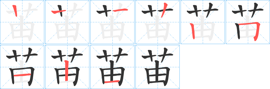 苖字的笔顺笔画分步演示