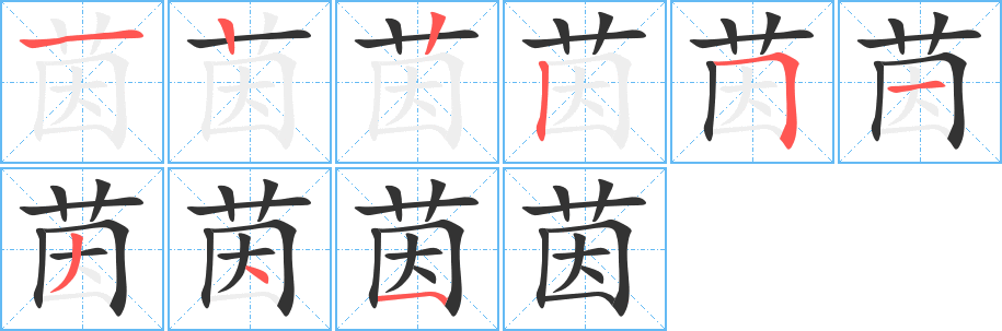 茵字的笔顺笔画分步演示