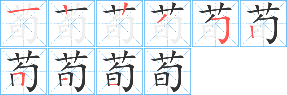 荀字的笔顺笔画分步演示