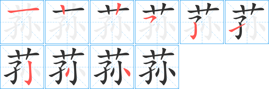 荪字的笔顺笔画分步演示