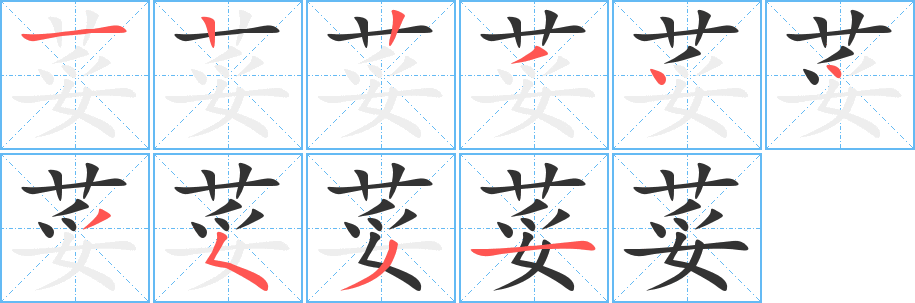 荽字的笔顺笔画分步演示