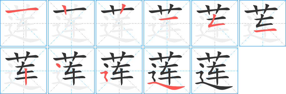 莲字的笔顺笔画分步演示