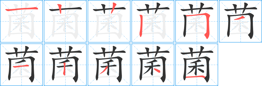菌字的笔顺笔画分步演示