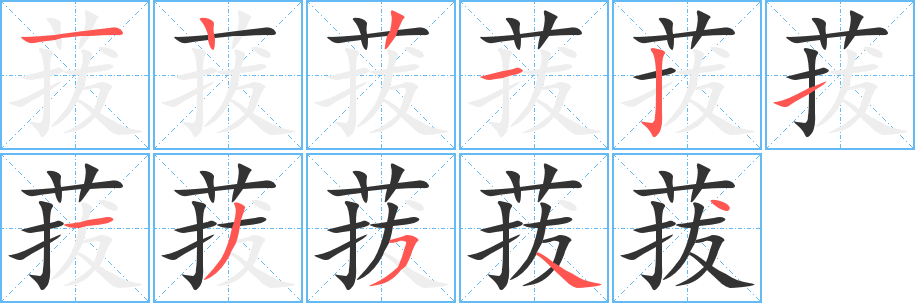 菝字的笔顺笔画分步演示