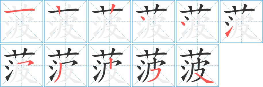 菠字的笔顺笔画分步演示