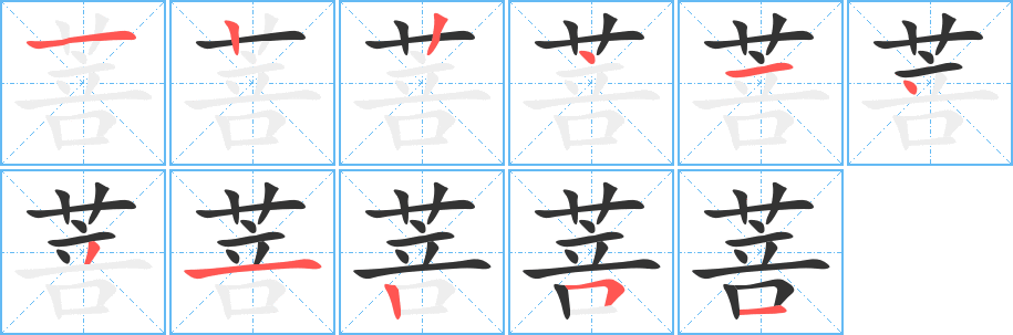 菩字的笔顺笔画分步演示