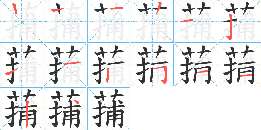 蒱字的笔顺笔画分步演示